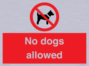 No dogs allowed